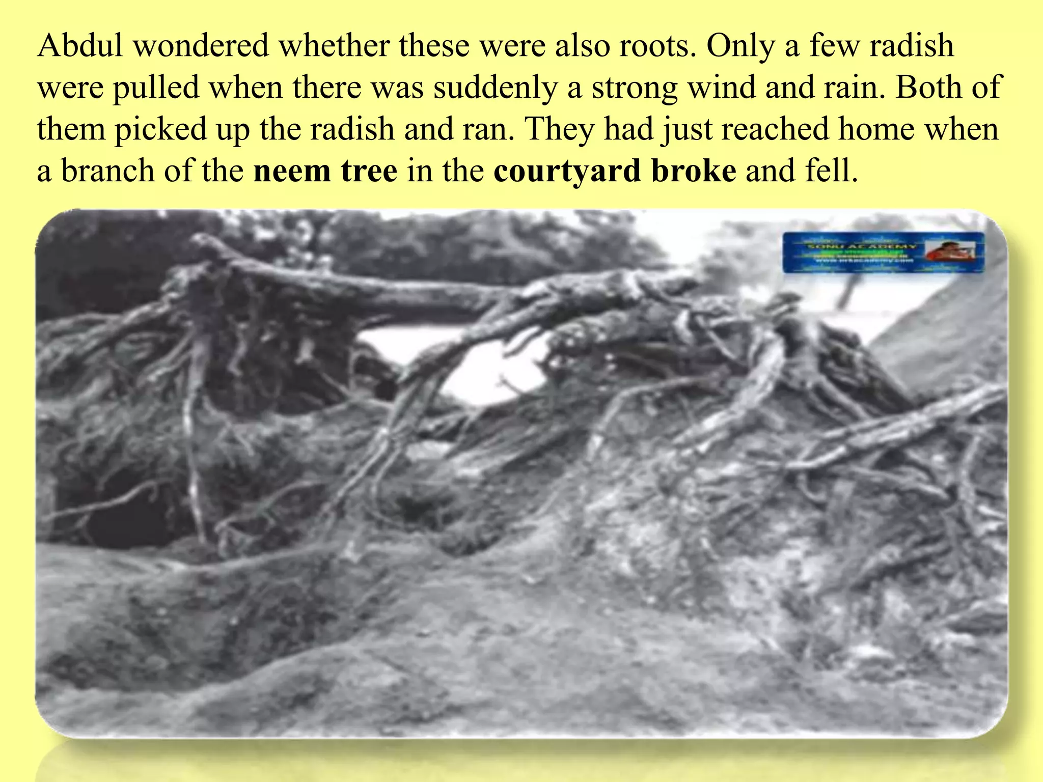 Slide 15