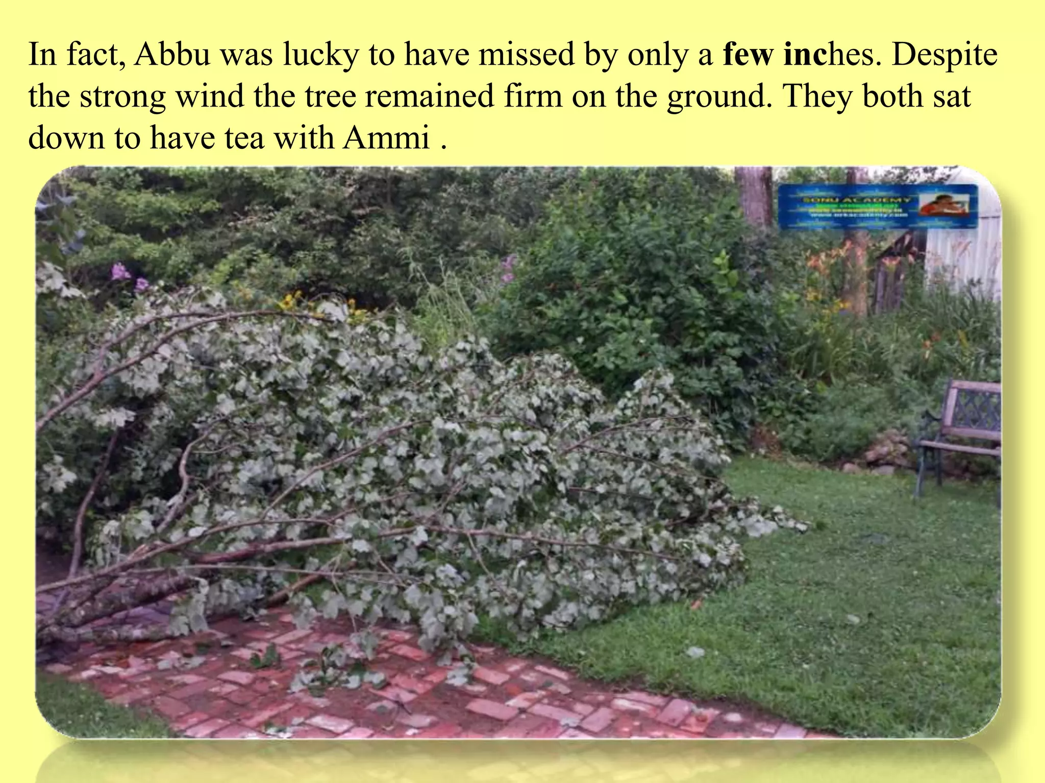 Slide 16