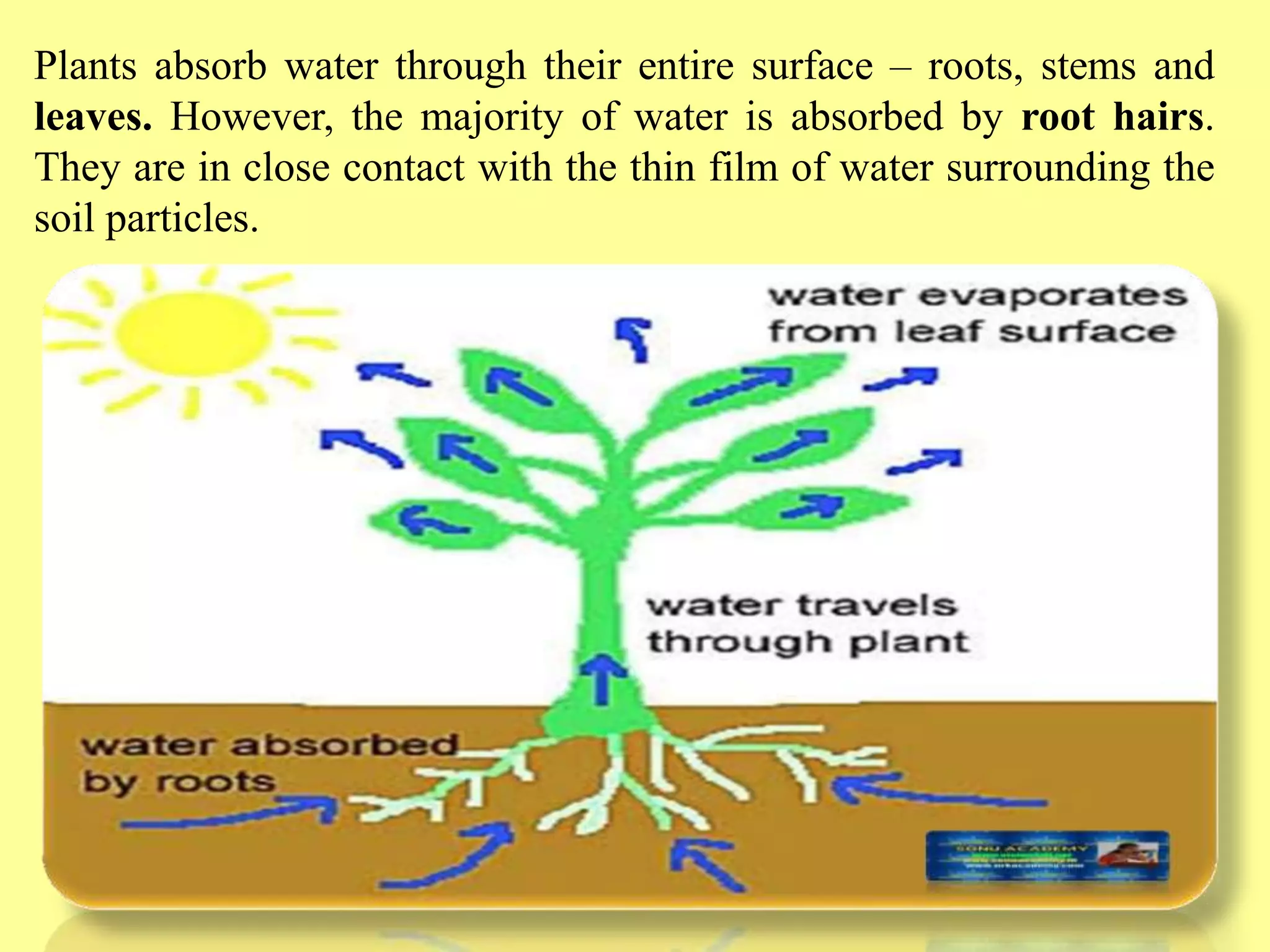 Slide 19