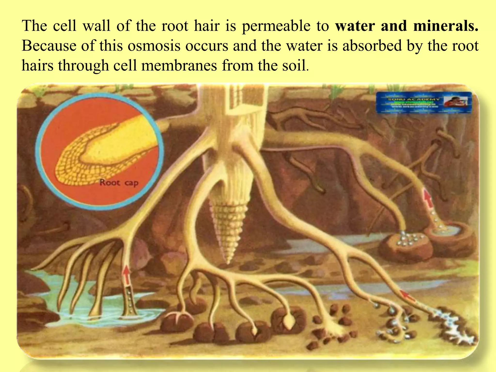 Slide 20