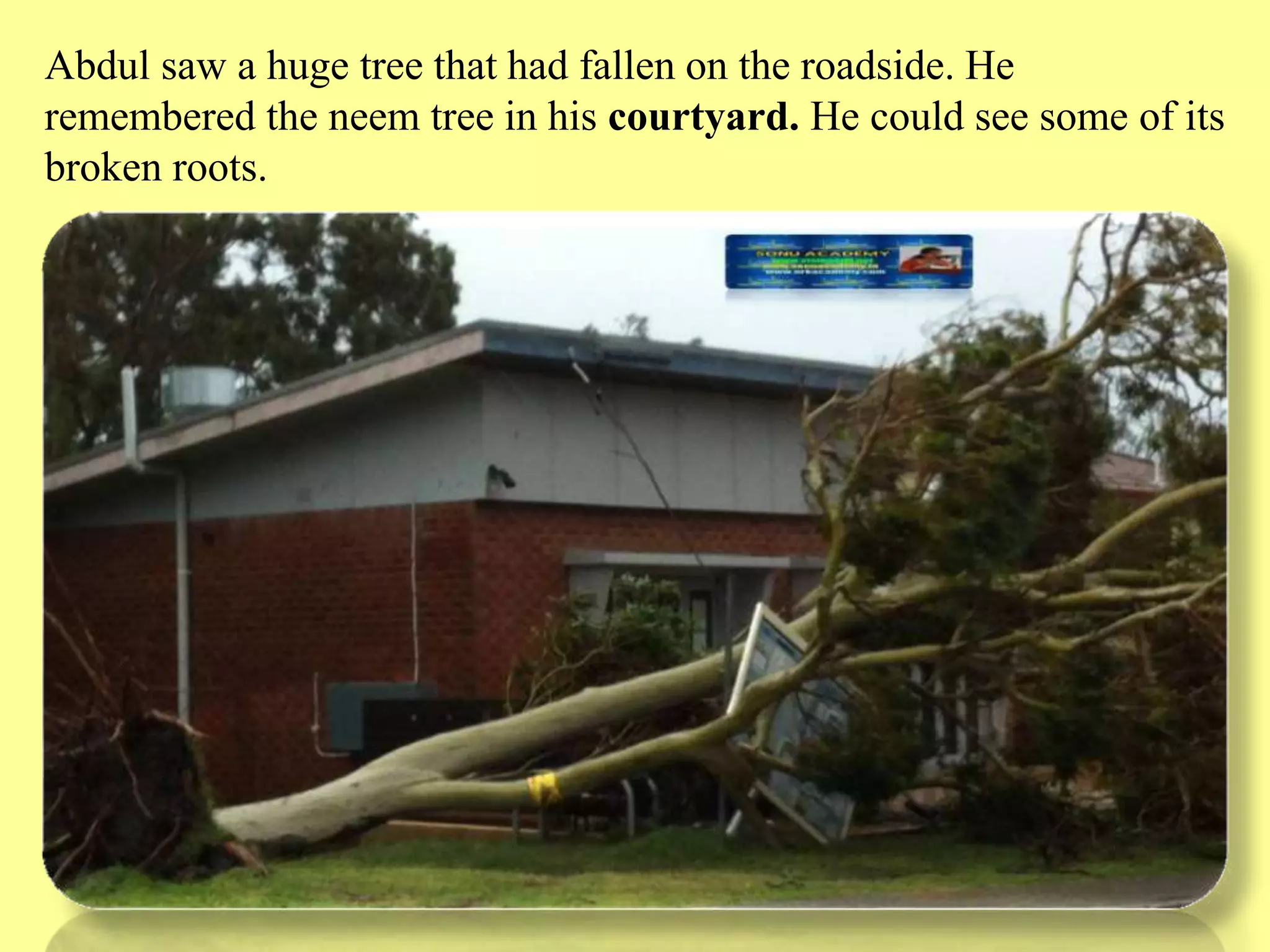 Slide 21