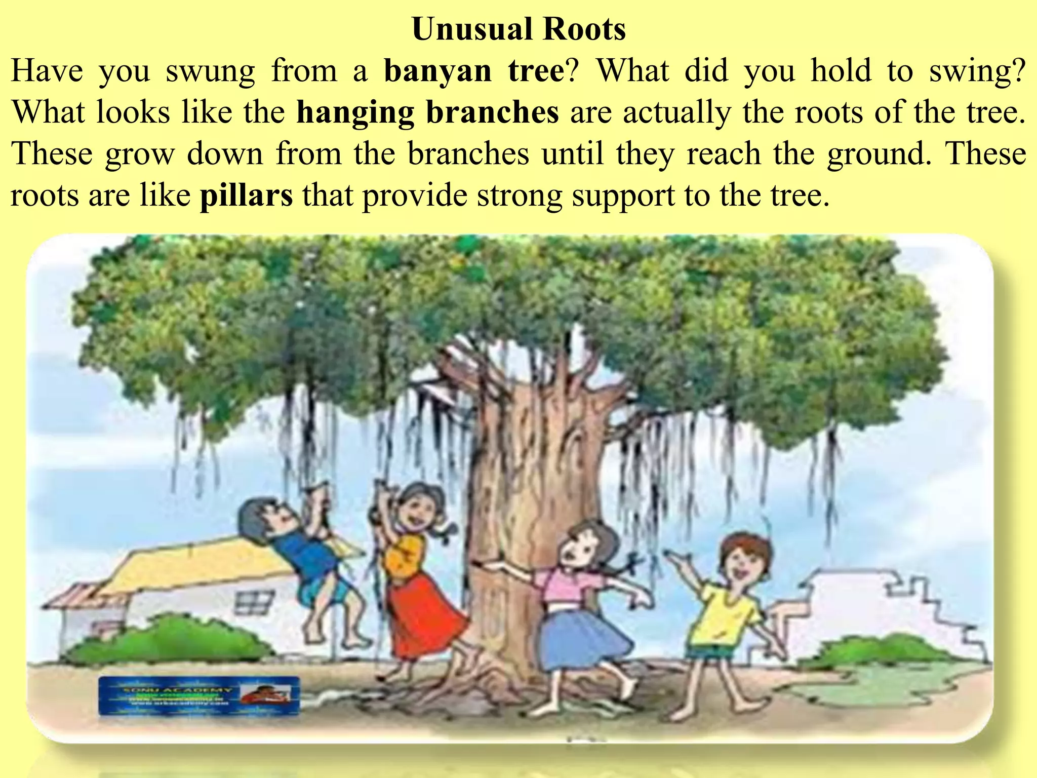 Slide 22