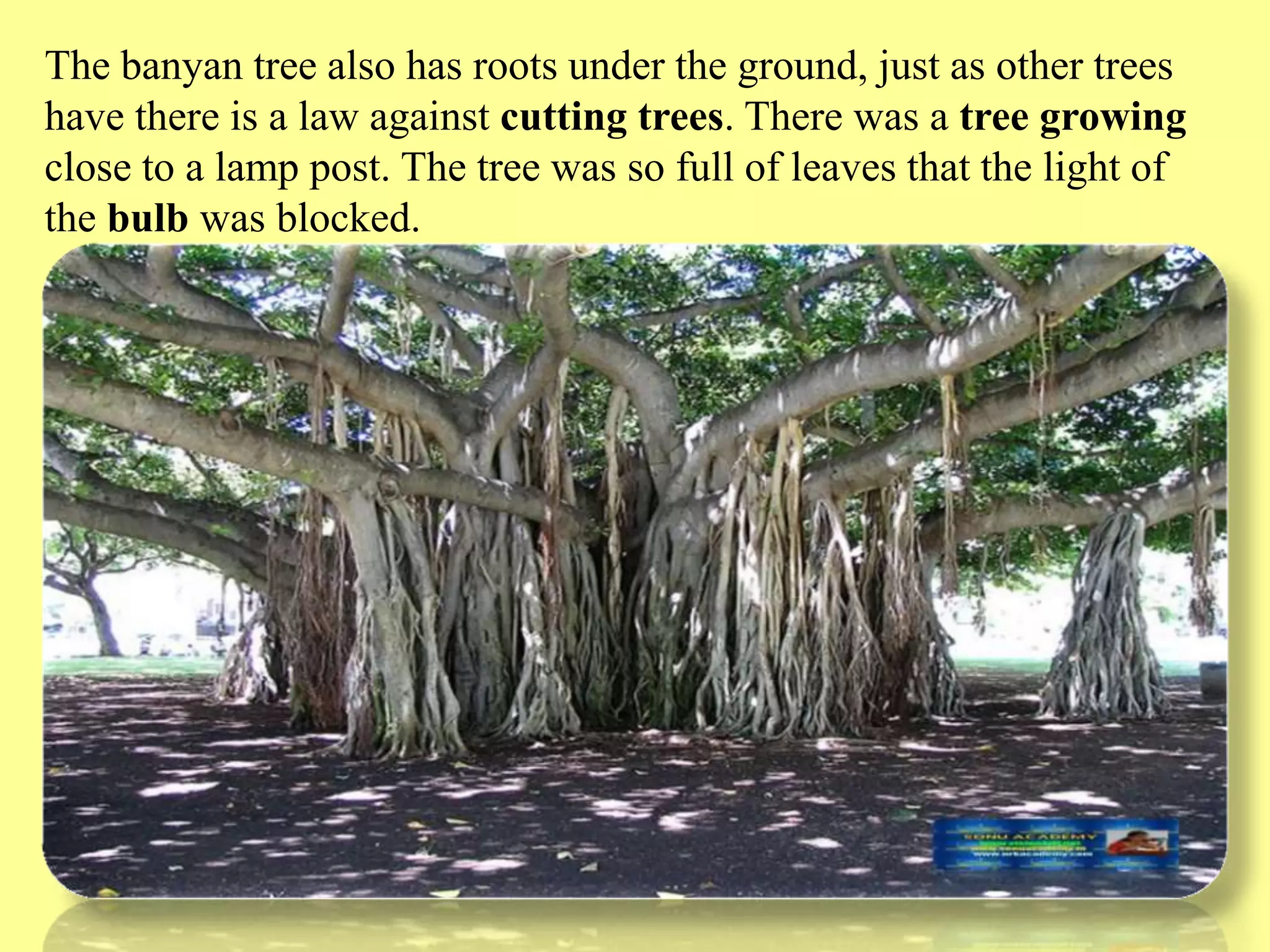 Slide 23