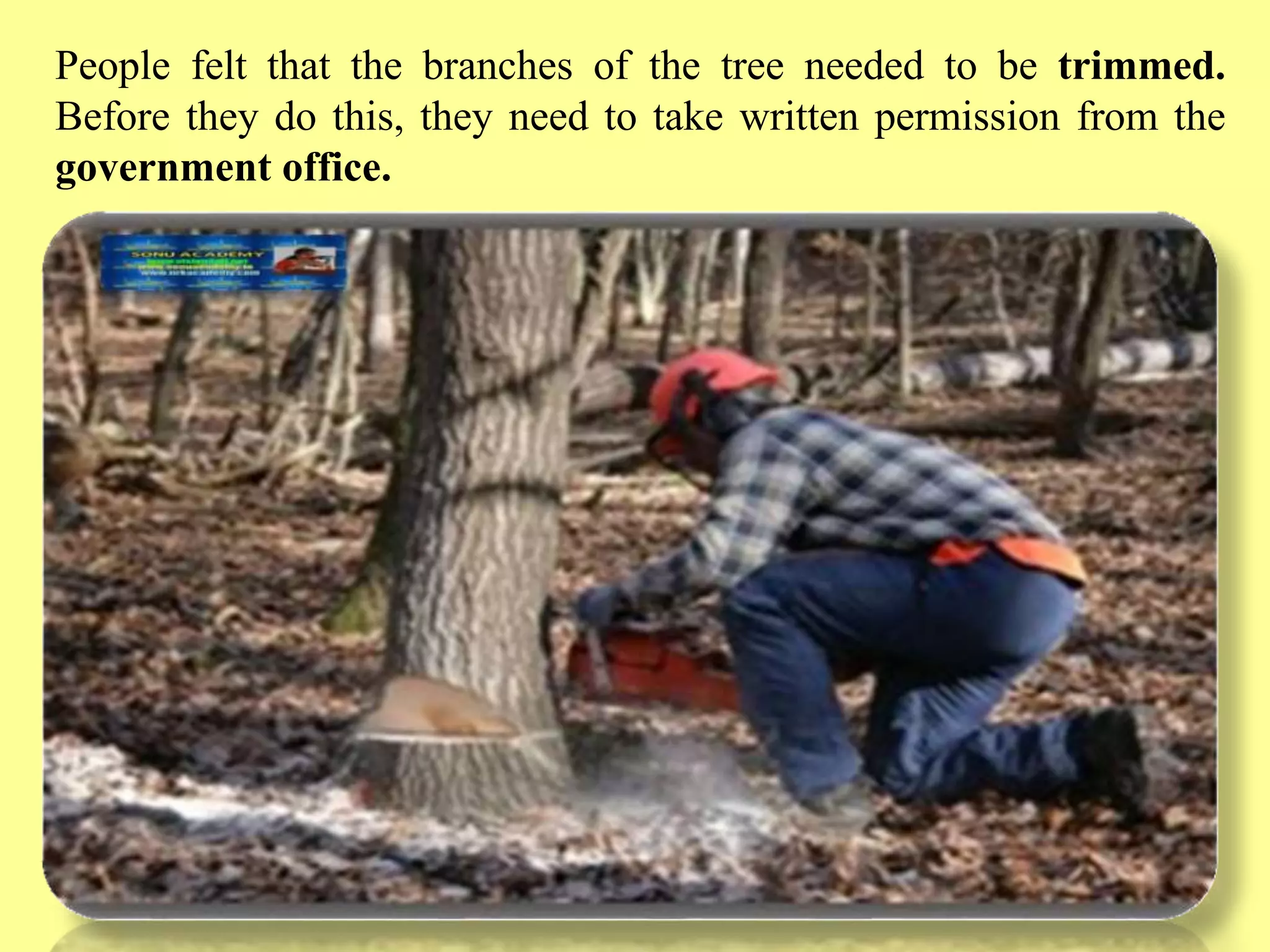 Slide 24