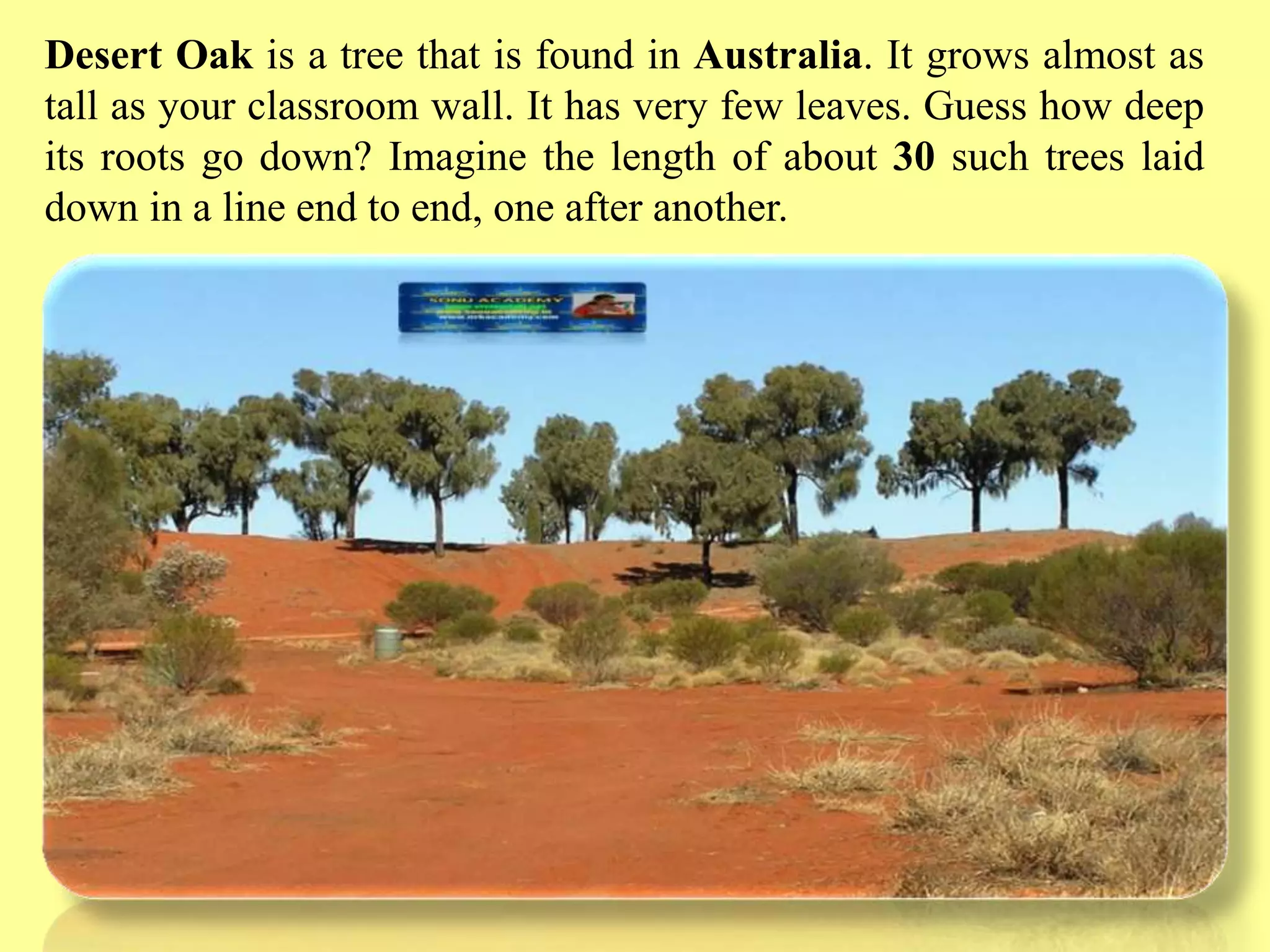 Slide 25