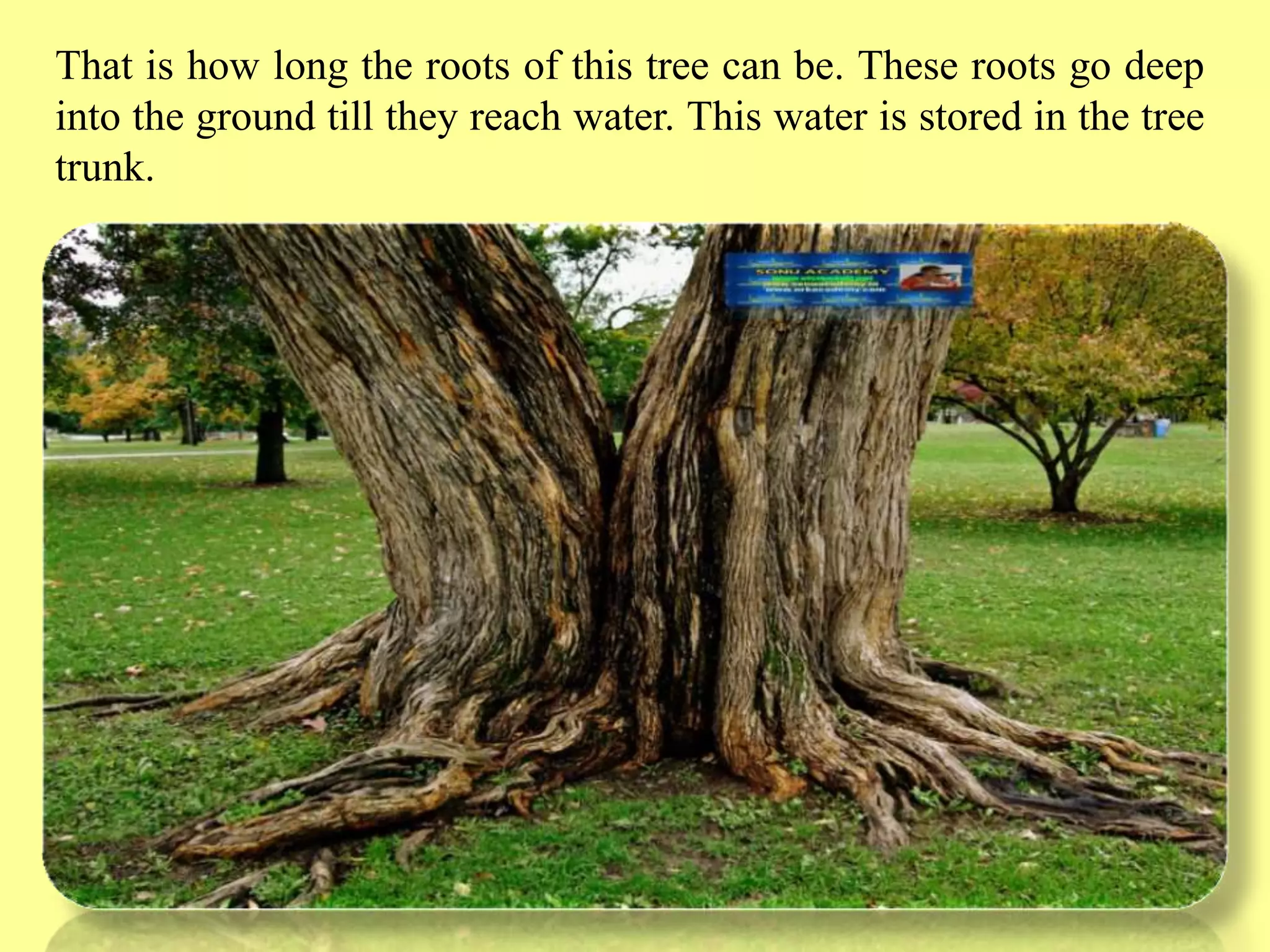 Slide 26
