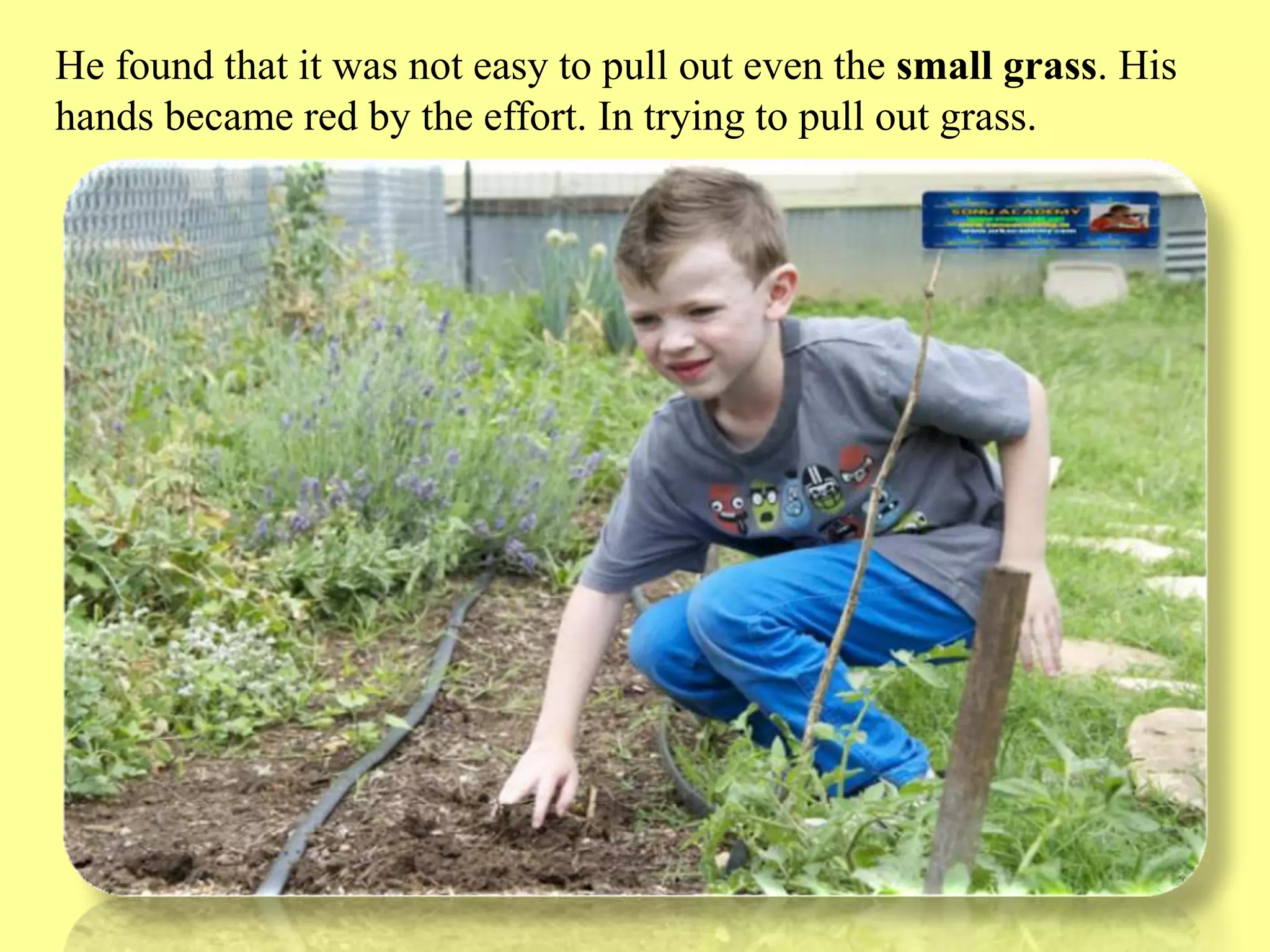 Slide 3