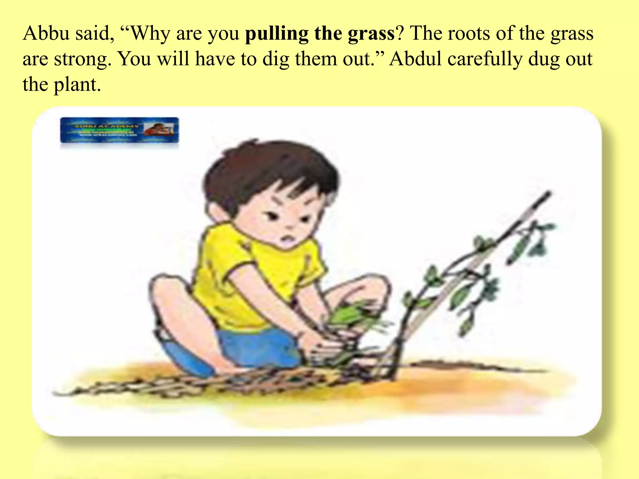 Slide 5