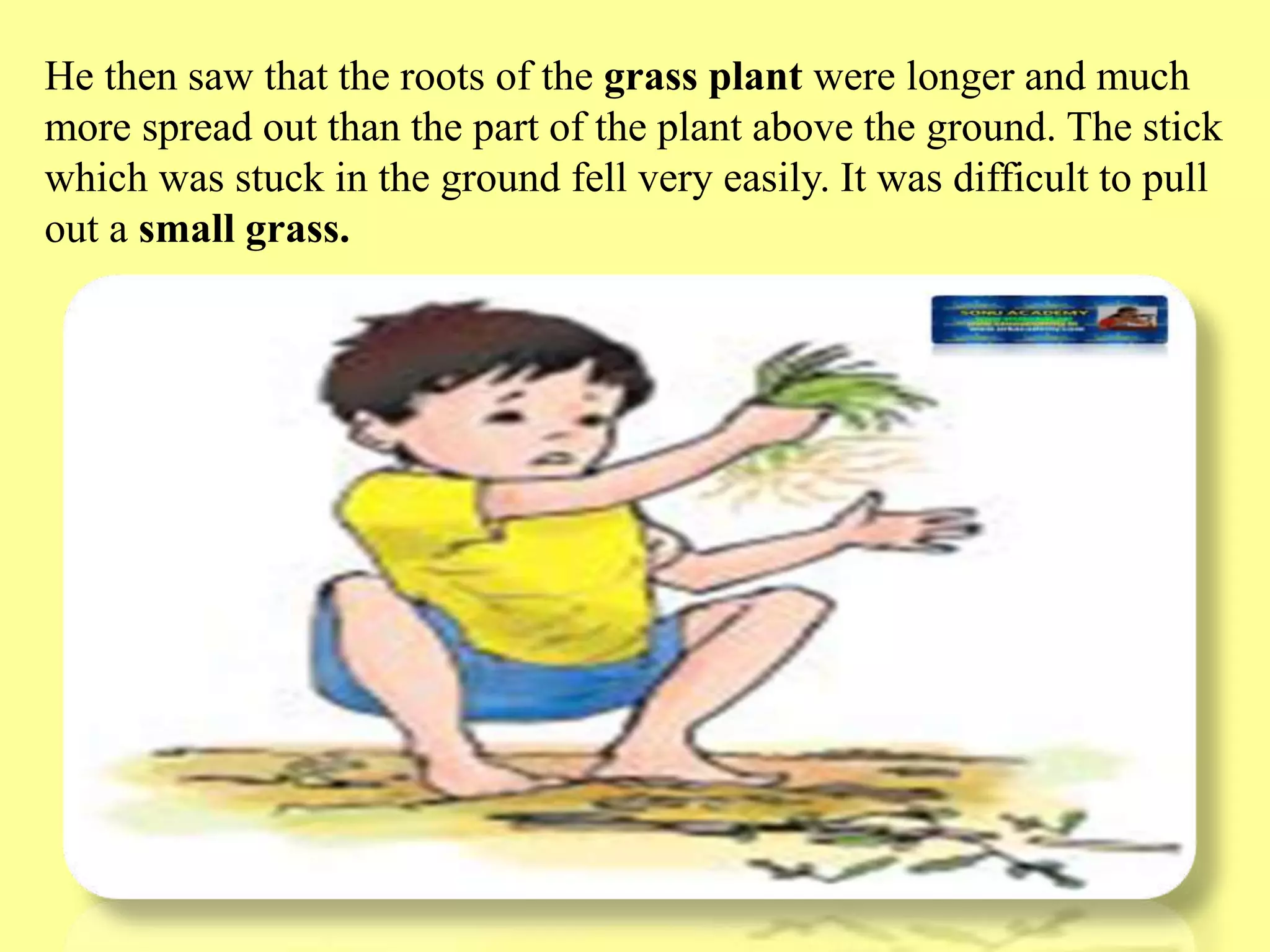 Slide 6