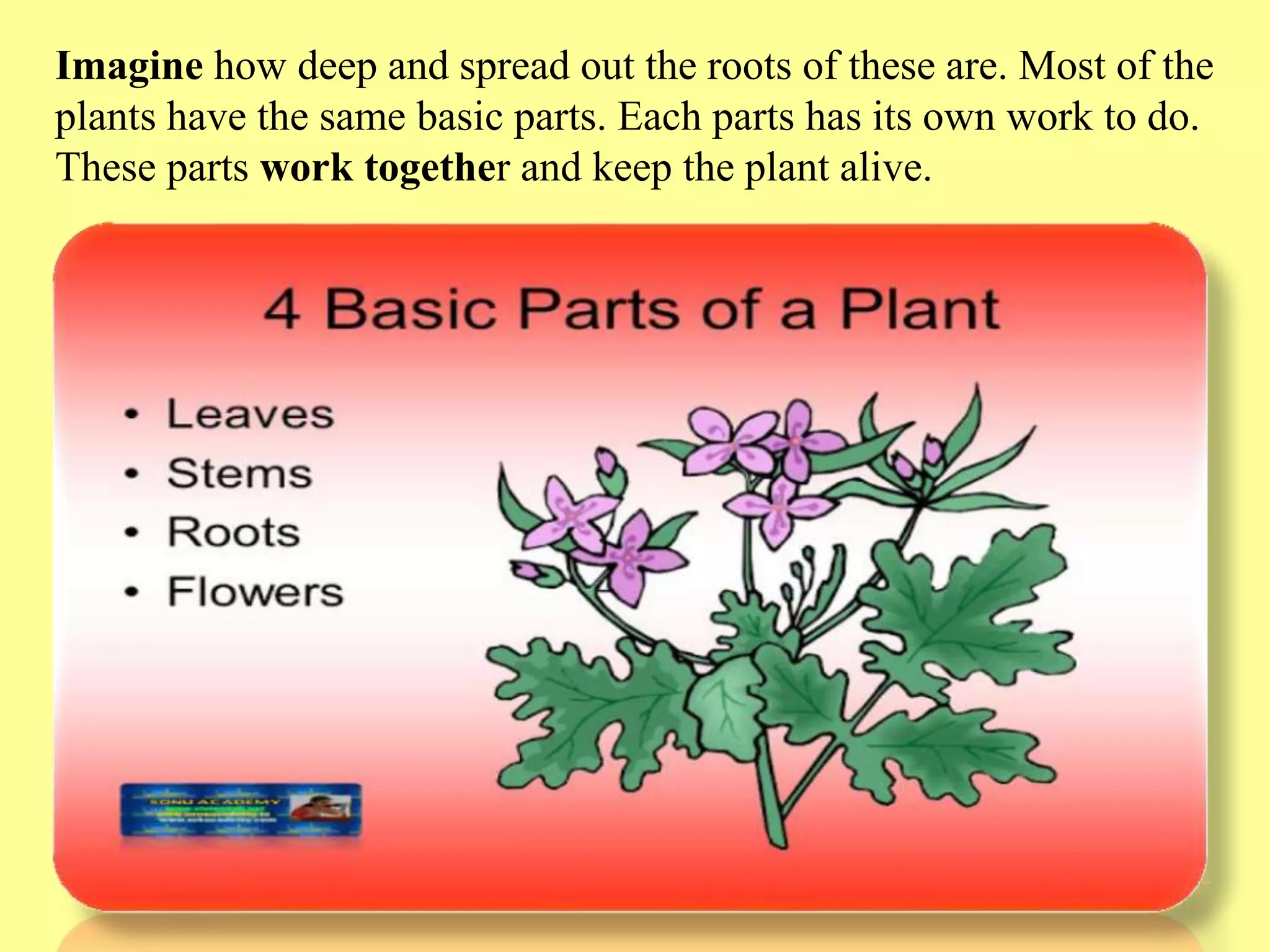 Slide 7