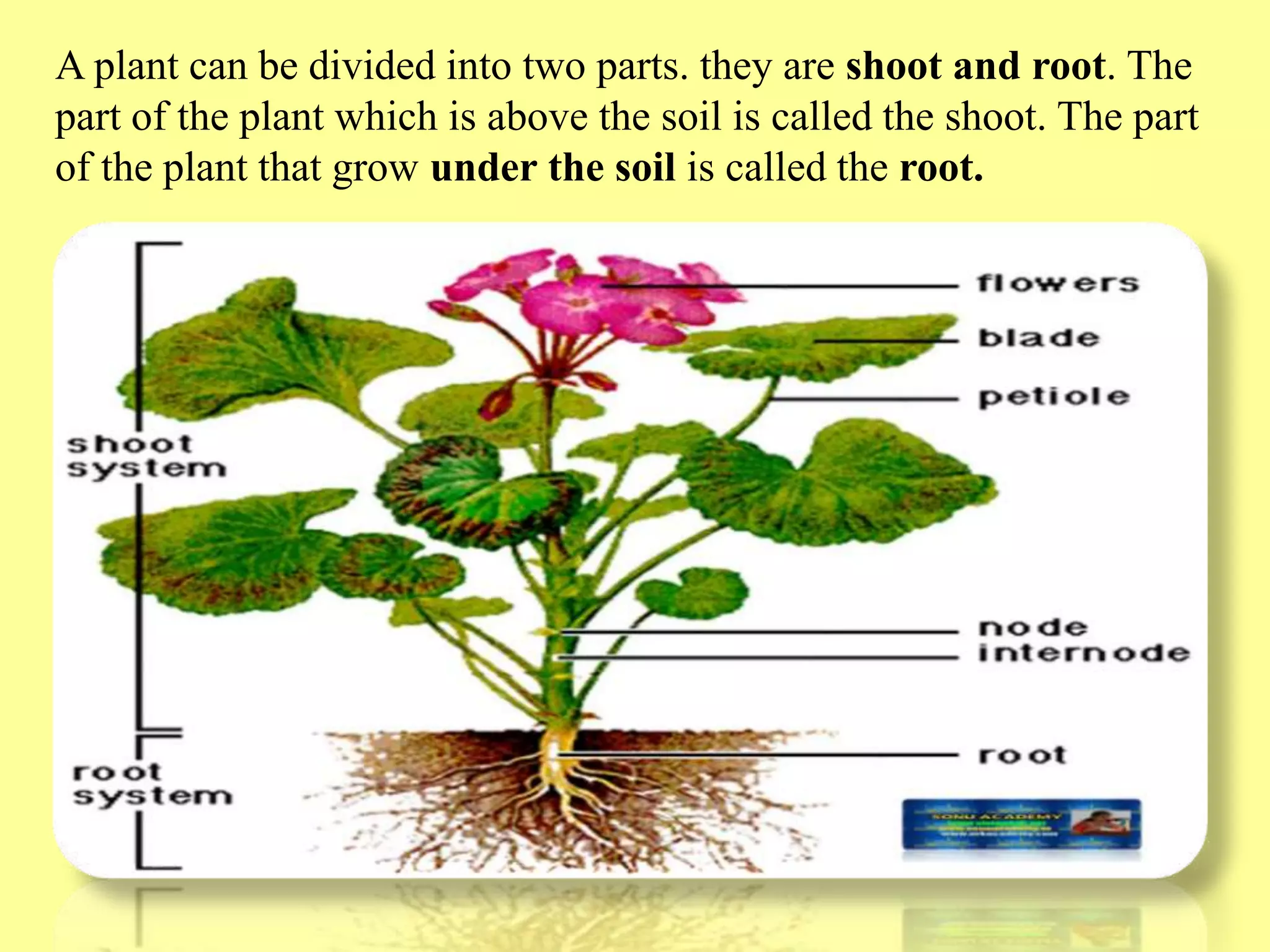 Slide 8