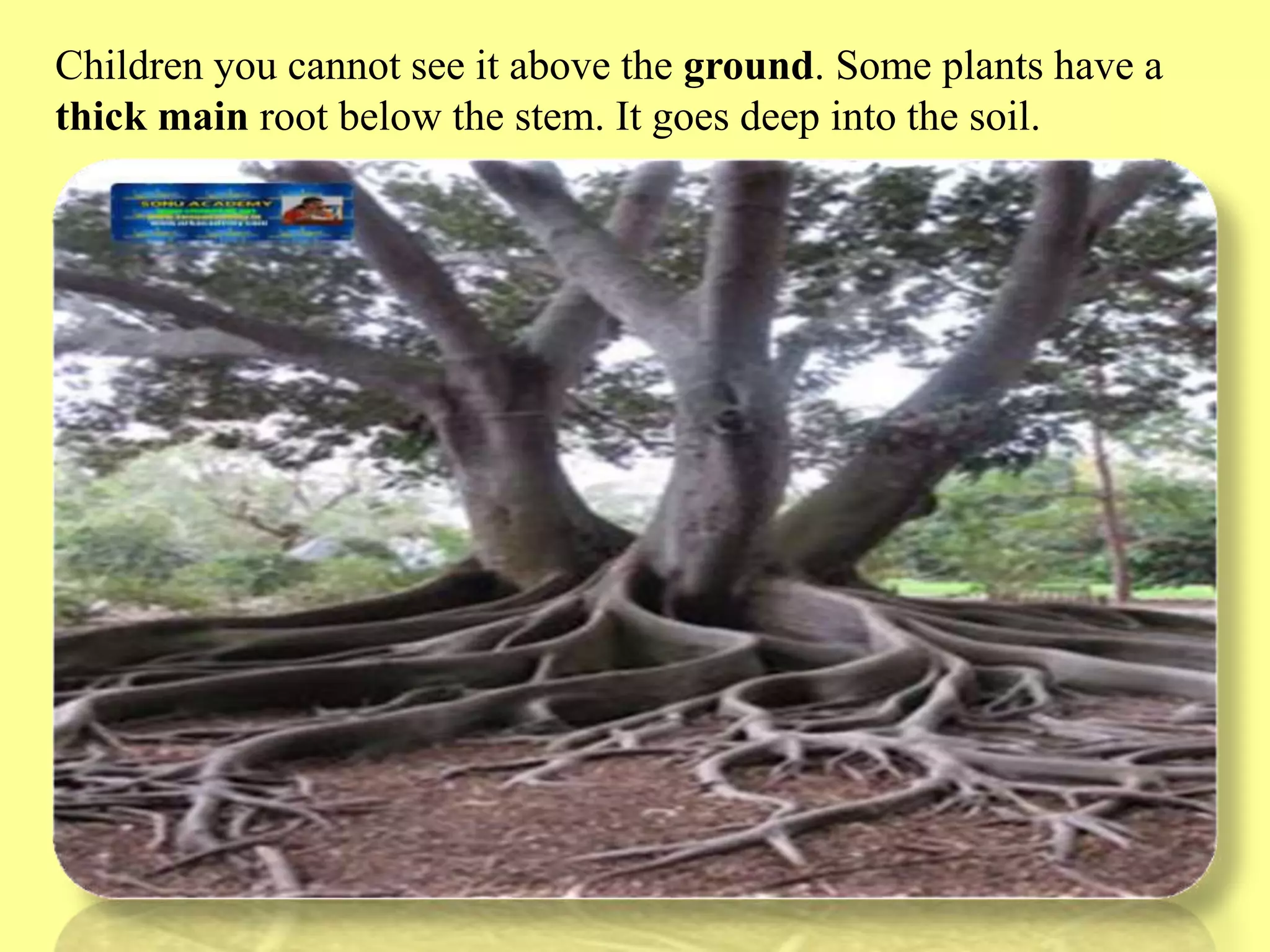 Slide 9