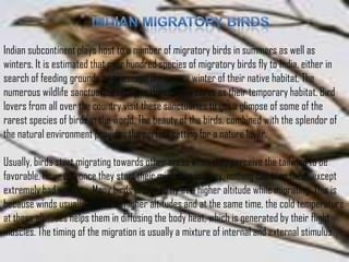 Indian subcontinent plays host to a number of migratory birds in summers as well as
winters. It is estimated that over hundred species of migratory birds fly to India, either in
search of feeding grounds or to escape the severe winter of their native habitat. The
numerous wildlife sanctuaries set up in the country serve as their temporary habitat. Bird
lovers from all over the country visit these sanctuaries to get a glimpse of some of the
rarest species of birds in the world. The beauty of the birds, combined with the splendor of
the natural environment provides the perfect setting for a nature lover.
Usually, birds start migrating towards other areas when they perceive the tailwind to be
favorable. However, once they start their migration journey, nothing can stop them, except
extremely bad weather. Many birds prefer to fly at a higher altitude while migrating. This is
because winds usually prevail at higher altitudes and at the same time, the cold temperature
at these altitudes helps them in diffusing the body heat, which is generated by their flight
muscles. The timing of the migration is usually a mixture of internal and external stimulus.

 