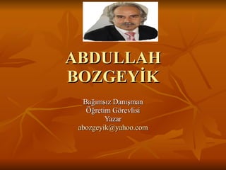 ABDULLAH BOZGEYİK Bağımsız Danışman Öğretim Görevlisi Yazar [email_address] 
