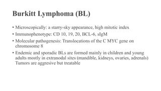 Lymphoma, Chronic lymphocytic lymphoma, small lymphocytic lymphoma | PPTX