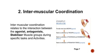 neuromuscular coordination | PPTX