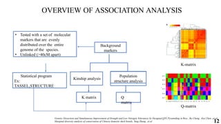 12
Population
structure analysis
Kinship analysis
Background
markers
K matrix Q
matrix
OVERVIEW OF ASSOCIATION ANALYSIS
• Tested with a set of molecular
markers that are evenly
distributed over the entire
genome of the species.
• Unlinked (>40cM apart)
Statistical program
Ex:
TASSEL,STRUCTURE
K-matrix
Q-matrix
Genetic Dissection and Simultaneous Improvement of Drought and Low Nitrogen Tolerances by Designed QTL Pyramiding in Rice , Bo Cheng , Kai Chen .,et.al.
Marginal diversity analysis of conservation of Chinese domestic duck breeds, Yang Zhang .,et.al
 
