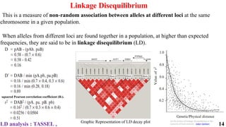 14
Linkage Disequilibrium
This is a measure of non random association between alleles at different loci
‐ at the same
chromosome in a given population.
When alleles from different loci are found together in a population, at higher than expected
frequencies, they are said to be in linkage disequilibrium (LD).
Graphic Representation of LD decay plot On the Extent of Linkage Disequilibrium in the
Genome of Farm Animals , Saber Qanbari
LD analysis : TASSEL ,
squared Pearson correlation coefficient (R2).
 