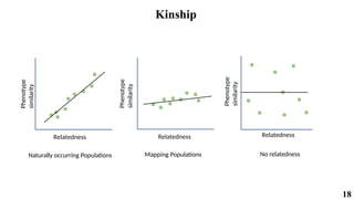 18
Kinship
Relatedness
Phenotype
similarity
No relatedness
Relatedness
Phenotype
similarity
Naturally occurring Populations
Relatedness
Phenotype
similarity
Mapping Populations
 