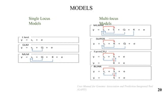 20
MODELS
User Manual for Genomic Association and Prediction Integrated Tool
(GAPIT)
Single Locus
Models
Multi-locus
Models
 
