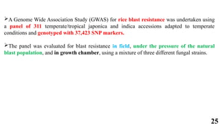 25
A Genome Wide Association Study (GWAS) for rice blast resistance was undertaken using
a panel of 311 temperate/tropical japonica and indica accessions adapted to temperate
conditions and genotyped with 37,423 SNP markers.
The panel was evaluated for blast resistance in field, under the pressure of the natural
blast population, and in growth chamber, using a mixture of three different fungal strains.
 