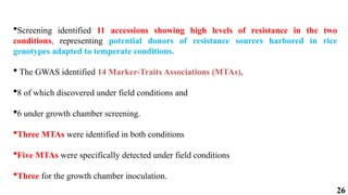 26
Screening identified 11 accessions showing high levels of resistance in the two
conditions, representing potential donors of resistance sources harbored in rice
genotypes adapted to temperate conditions.
 The GWAS identified 14 Marker-Traits Associations (MTAs),
8 of which discovered under field conditions and
6 under growth chamber screening.
Three MTAs were identified in both conditions
Five MTAs were specifically detected under field conditions
Three for the growth chamber inoculation.
 
