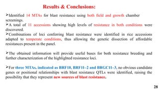 28
Identified 14 MTAs for blast resistance using both field and growth chamber
screenings.
A total of 11 accessions showing high levels of resistance in both conditions were
discovered.
Combinations of loci conferring blast resistance were identified in rice accessions
adapted to temperate conditions, thus allowing the genetic dissection of affordable
resistances present in the panel.
The obtained information will provide useful bases for both resistance breeding and
further characterization of the highlighted resistance loci.
For three MTAs, indicated as BRF10, BRF11–2 and BRGC11–3, no obvious candidate
genes or positional relationships with blast resistance QTLs were identified, raising the
possibility that they represent new sources of blast resistance.
Results & Conclusions:
 