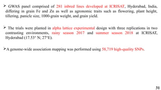 31
 GWAS panel comprised of 281 inbred lines developed at ICRISAT, Hyderabad, India,
differing in grain Fe and Zn as well as agronomic traits such as flowering, plant height,
tillering, panicle size, 1000-grain weight, and grain yield.
 The trials were planted in alpha lattice experimental design with three replications in two
contrasting environments, rainy season 2017 and summer season 2018 at ICRISAT,
Hyderabad (17.53° N; 27°E).
A genome-wide association mapping was performed using 58,719 high-quality SNPs.
 
