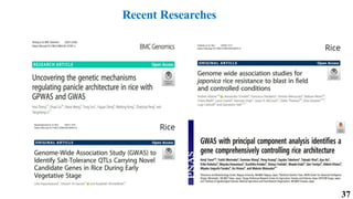 37
Recent Researches
 