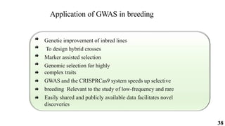 38
Application of GWAS in breeding
Genetic improvement of inbred lines
To design hybrid crosses
Marker assisted selection
Genomic selection for highly
complex traits
GWAS and the CRISPRCas9 system speeds up selective
breeding Relevant to the study of low-frequency and rare
Easily shared and publicly available data facilitates novel
discoveries
 