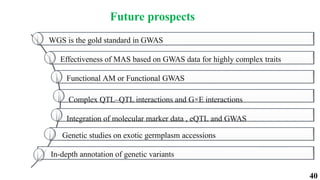 40
Future prospects
WGS is the gold standard in GWAS
Effectiveness of MAS based on GWAS data for highly complex traits
Functional AM or Functional GWAS
Complex QTL–QTL interactions and G×E interactions
Integration of molecular marker data , eQTL and GWAS
Genetic studies on exotic germplasm accessions
In-depth annotation of genetic variants
 