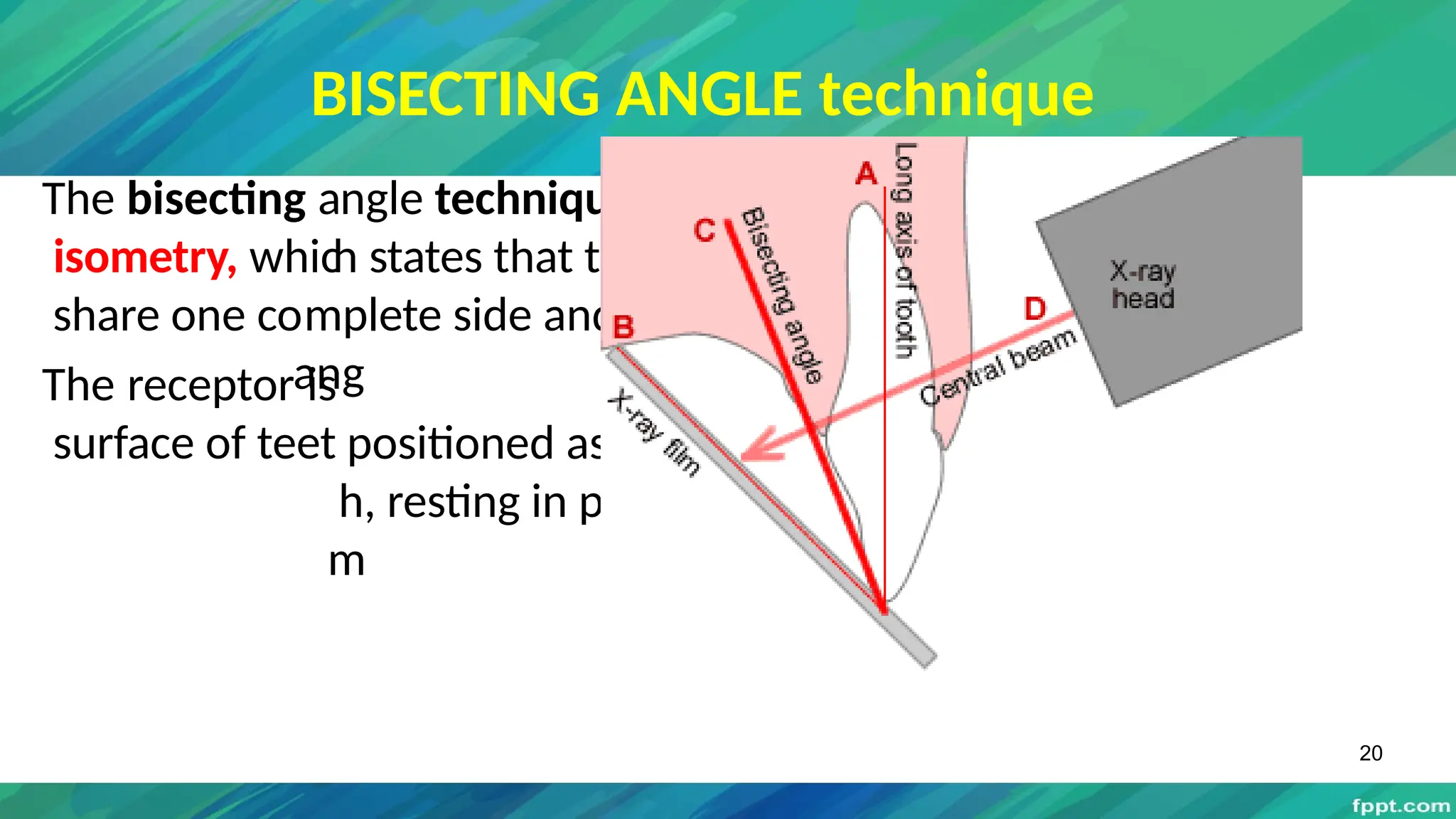 projection geometry in dental radiology .pptx