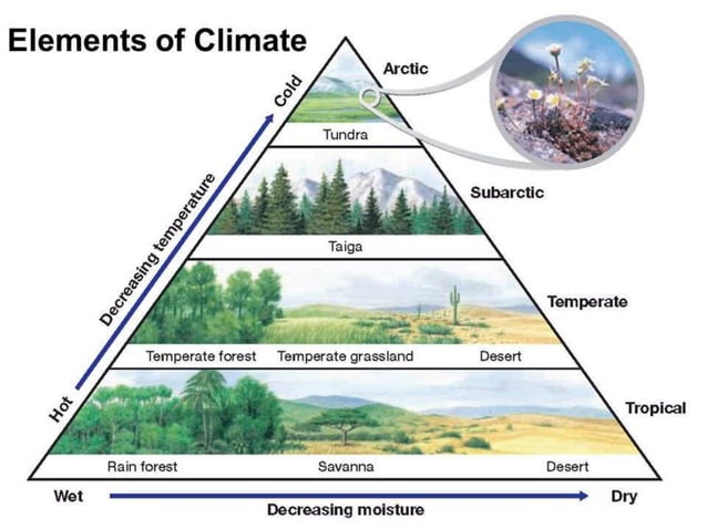 Elements of weather and climate | PPTX | Weather | Science