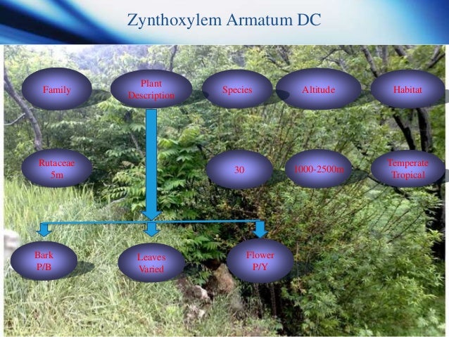 Marine Natural Product Importance Marine Natural Product Importance