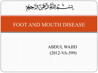 ABDUL WAJID
(2012-VA-599)
FOOT AND MOUTH DISEASE
 