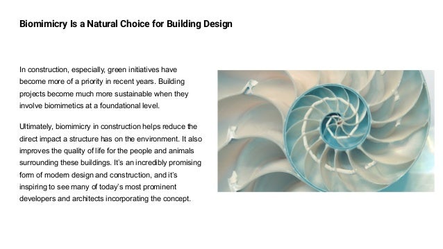 Biomimicry Is a Natural Choice for Building Design
In construction, especially, green initiatives have
become more of a priority in recent years. Building
projects become much more sustainable when they
involve biomimetics at a foundational level.
Ultimately, biomimicry in construction helps reduce the
direct impact a structure has on the environment. It also
improves the quality of life for the people and animals
surrounding these buildings. It’s an incredibly promising
form of modern design and construction, and it’s
inspiring to see many of today’s most prominent
developers and architects incorporating the concept.
 