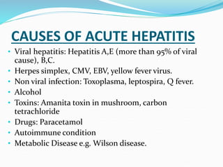 CAUSES OF ACUTE HEPATITIS
• Viral hepatitis: Hepatitis A,E (more than 95% of viral
cause), B,C.
• Herpes simplex, CMV, EBV, yellow fever virus.
• Non viral infection: Toxoplasma, leptospira, Q fever.
• Alcohol
• Toxins: Amanita toxin in mushroom, carbon
tetrachloride
• Drugs: Paracetamol
• Autoimmune condition
• Metabolic Disease e.g. Wilson disease.
 