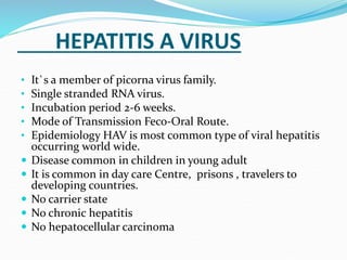 HEPATITIS A VIRUS
• It`s a member of picorna virus family.
• Single stranded RNA virus.
• Incubation period 2-6 weeks.
• Mode of Transmission Feco-Oral Route.
• Epidemiology HAV is most common type of viral hepatitis
occurring world wide.
 Disease common in children in young adult
 It is common in day care Centre, prisons , travelers to
developing countries.
 No carrier state
 No chronic hepatitis
 No hepatocellular carcinoma
 