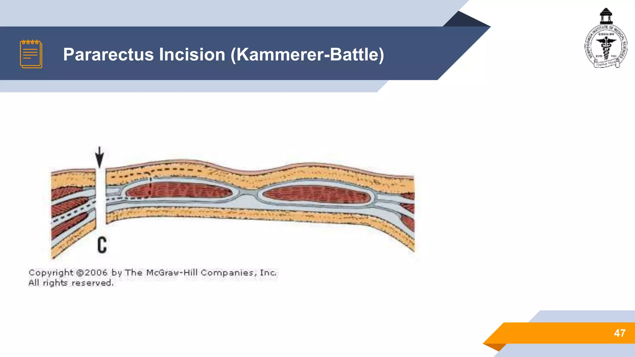 ANATOMY OF ANTERIOR ABDOMINAL WALL | PPTX