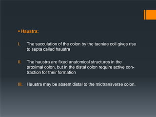  Haustra:
I. The sacculation of the colon by the taeniae coli gives rise
to septa called haustra
II. The haustra are fixed anatomical structures in the
proximal colon, but in the distal colon require active con-
traction for their formation
III. Haustra may be absent distal to the midtransverse colon.
 