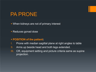 PA PRONE
 When kidneys are not of primary interest
 Reduces gonad dose
 POSITION of the patient:
I. Prone with median sagittal plane at right angles to table
II. Arms up beside head and both legs extended.
III. CR, equipment setting and picture criteria same as supine
projection.
 