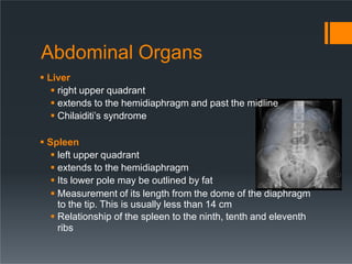 Abdominal Organs
 Liver
 right upper quadrant
 extends to the hemidiaphragm and past the midline
 Chilaiditi’s syndrome
 Spleen
 left upper quadrant
 extends to the hemidiaphragm
 Its lower pole may be outlined by fat
 Measurement of its length from the dome of the diaphragm
to the tip. This is usually less than 14 cm
 Relationship of the spleen to the ninth, tenth and eleventh
ribs
 