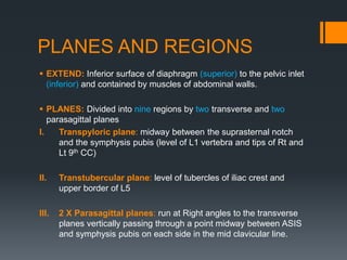 PLANES AND REGIONS
 EXTEND: Inferior surface of diaphragm (superior) to the pelvic inlet
(inferior) and contained by musc...