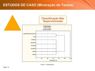 Page  14
ESTUDOS DE CASO (Mineração de Textos)
Classificação Não
Supervisionada
 