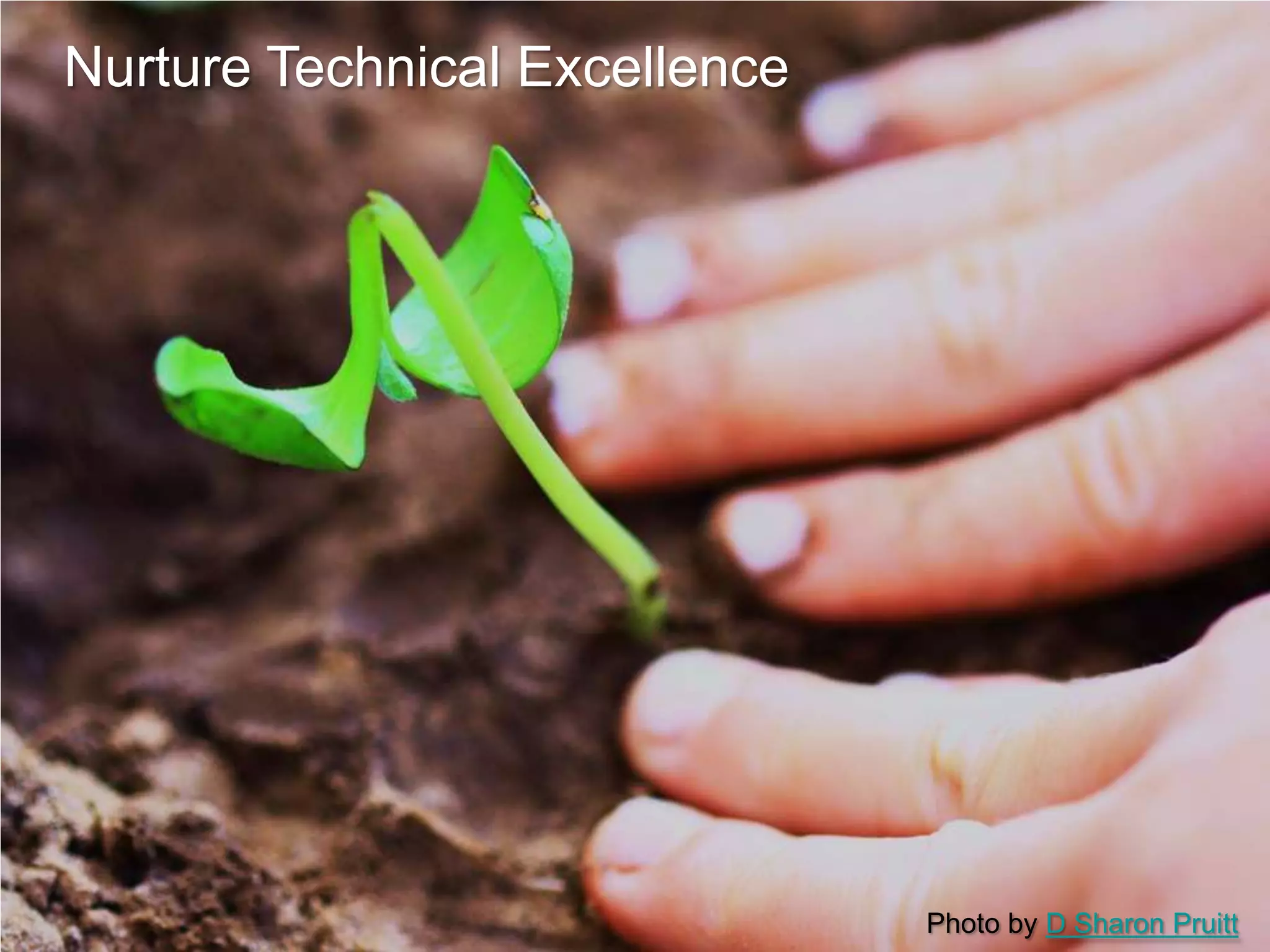 Nurture Technical Excellence

Photo by D Sharon Pruitt

 