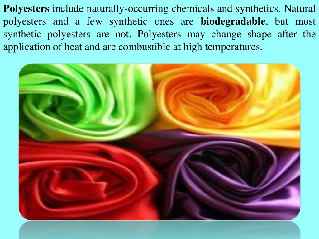 Slide 10