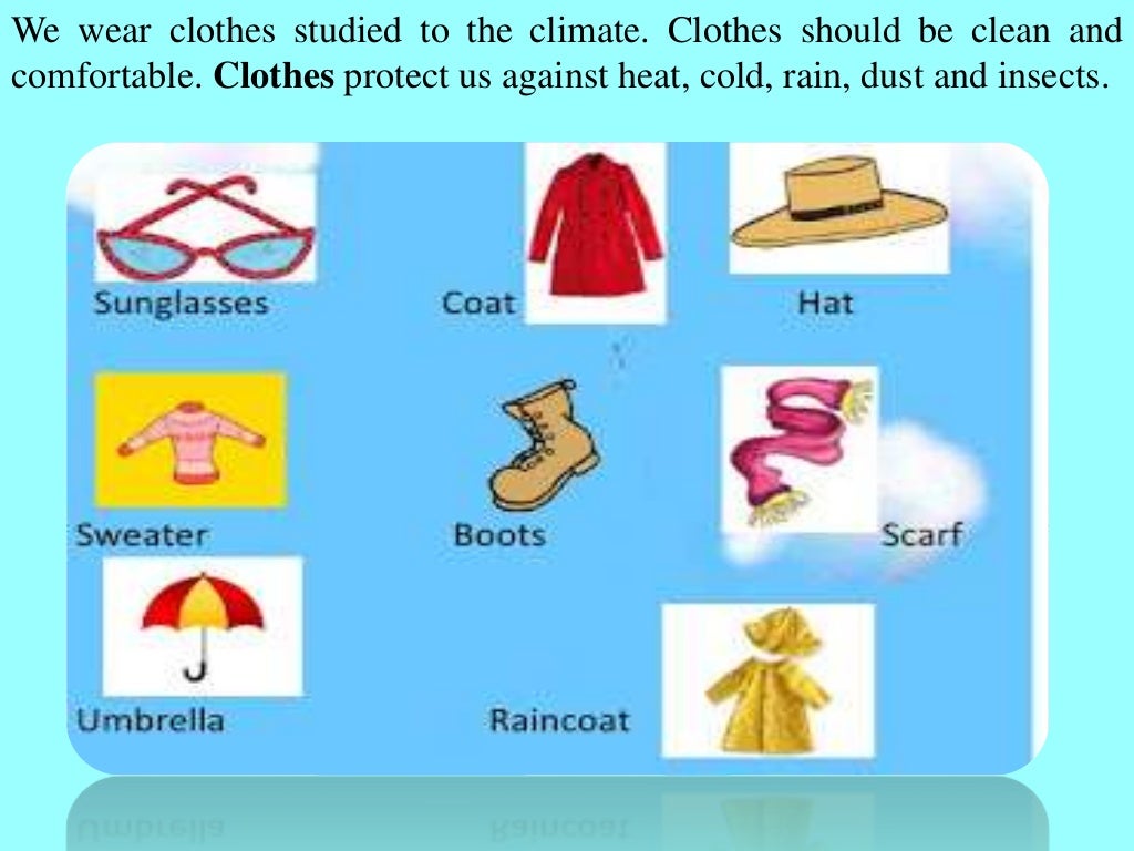 Slide 12