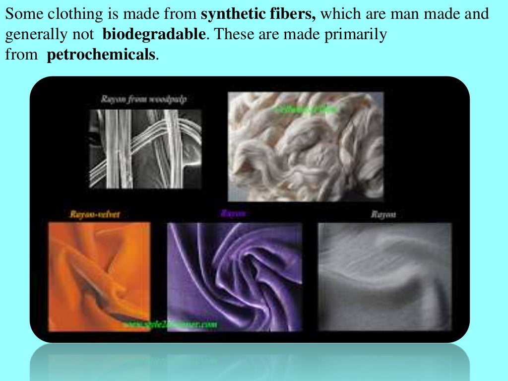 Slide 8