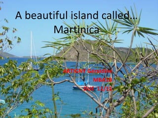 A beautiful island called…
       Martinica


          ARTIGNY Géraldine
                    MBA1B
                DUE 11/11
 