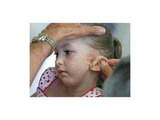 A beautiful story without any words